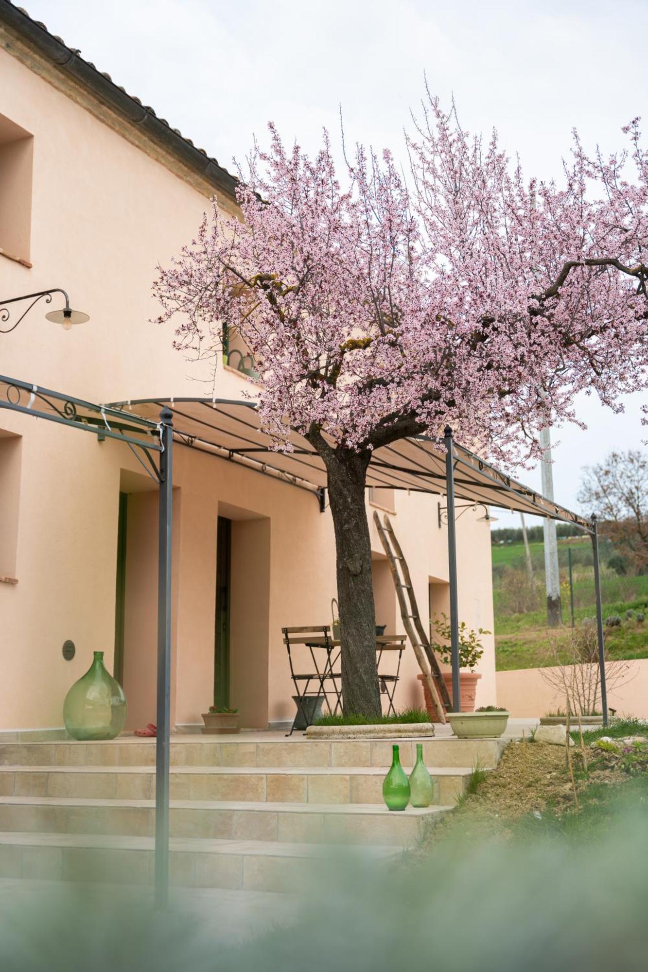 B&B Le Rondini Ostra Senigallia Casine  エクステリア 写真